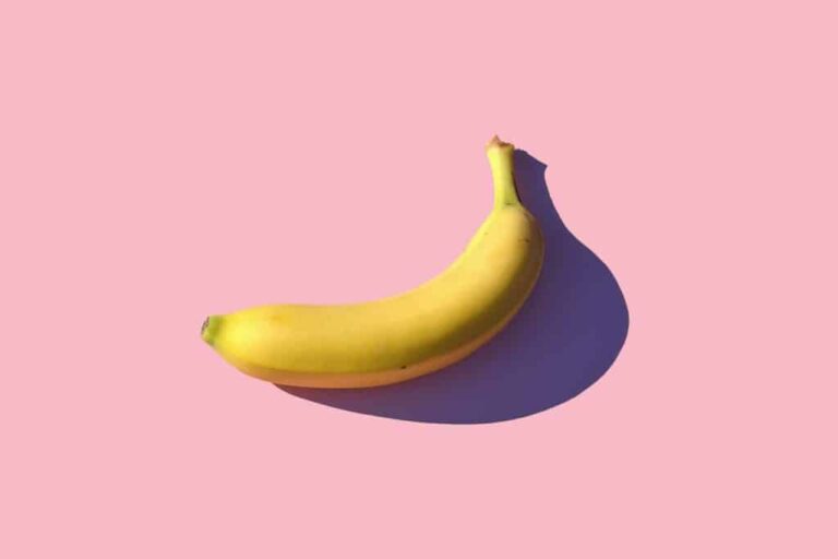 lean SaaS tech stack mike dorner sf 1zda1yfw unsplash 1024x682